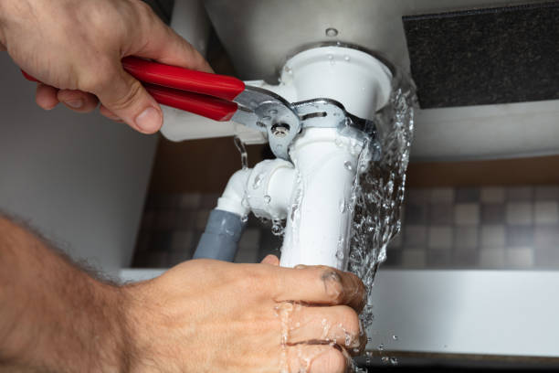 Best Water damage restoration specialists  in Harvest, AL