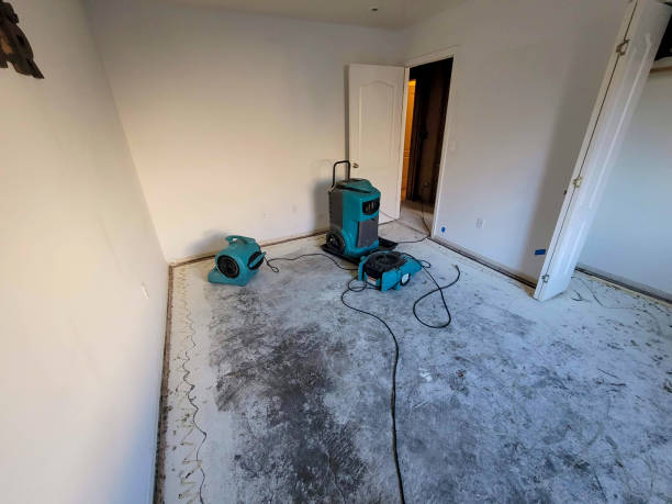 Best Fire Damage Restoration  in Harvest, AL
