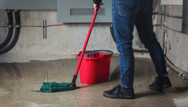 Best Flooded house restoration  in Harvest, AL