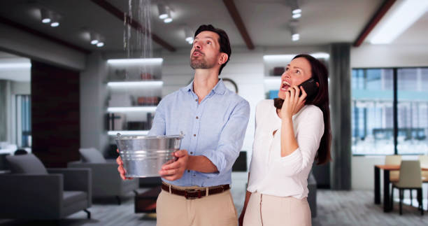 Best Carpet water damage restoration  in Harvest, AL