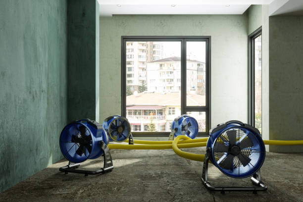 Best Sewage cleanup and water damage restoration  in Harvest, AL